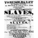 Illustration for article titled Here's How New Texas Public School Textbooks Write About Slavery